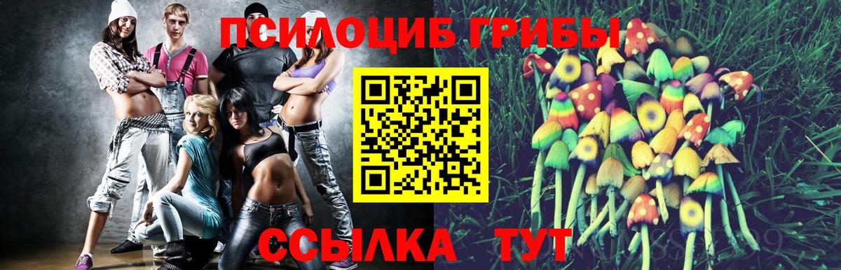 Ишим  Галлюциногенные грибы Magic Shrooms  Вход с VPN 