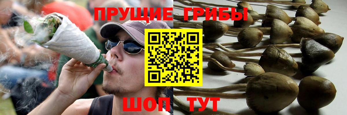 Галлюциногенные грибы Magic Shrooms Ишим
